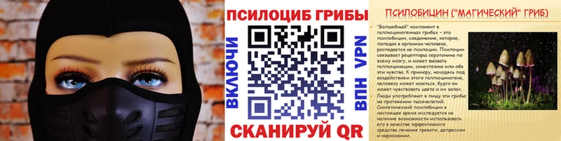 Галлюциногенные грибы Cubensis  Кирово-Чепецк 