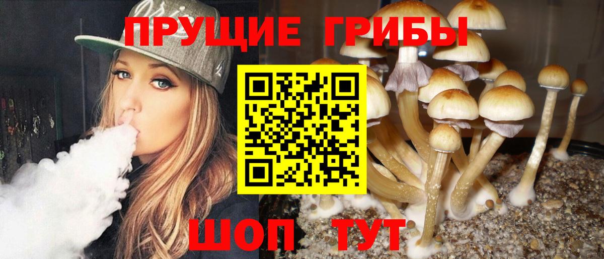 Галлюциногенные грибы мухоморы Кирово-Чепецк
