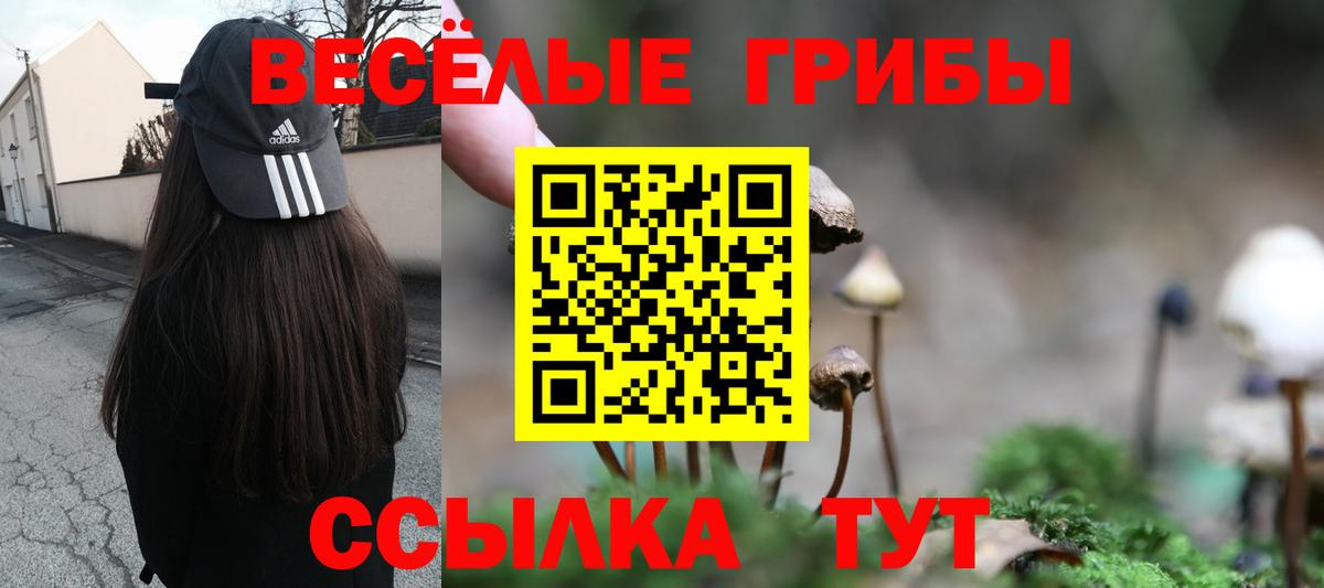 Галлюциногенные грибы GOLDEN TEACHER  Вход с VPN  Кирово-Чепецк 
